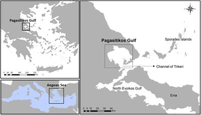 Ecosystem Models and Effort Simulations of an Untrawled Gulf in the Central Aegean Sea